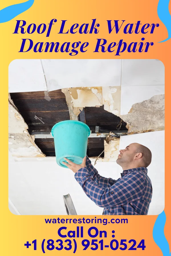 Roof Leak Water Damage Repair in River Hills, WI