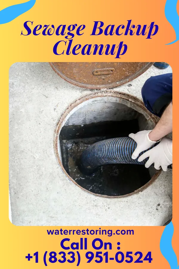 Sewage Backup Cleanup in River Hills, WI
