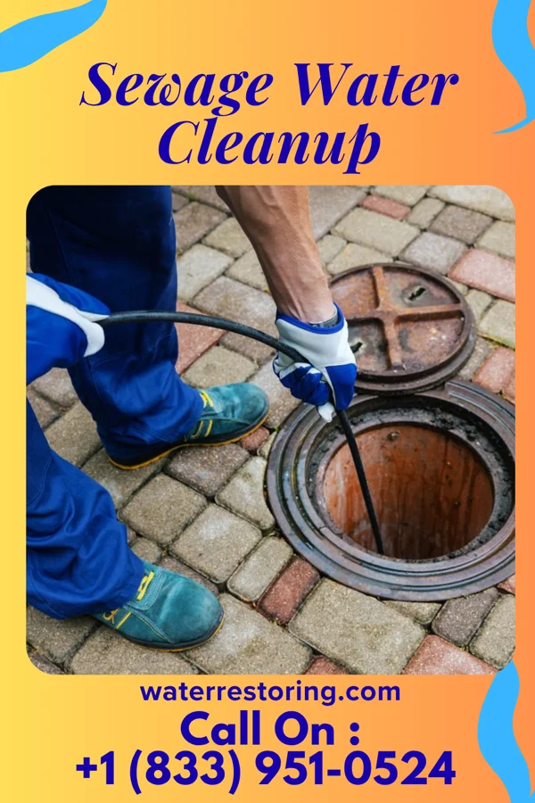 Sewage Water Cleanup in River Hills, WI